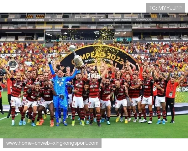 南美解放者杯：决赛点球大战惊心动魄